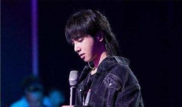 娱乐圈吃瓜华晨宇,娱乐圈的瓜田，他如何成为焦点？